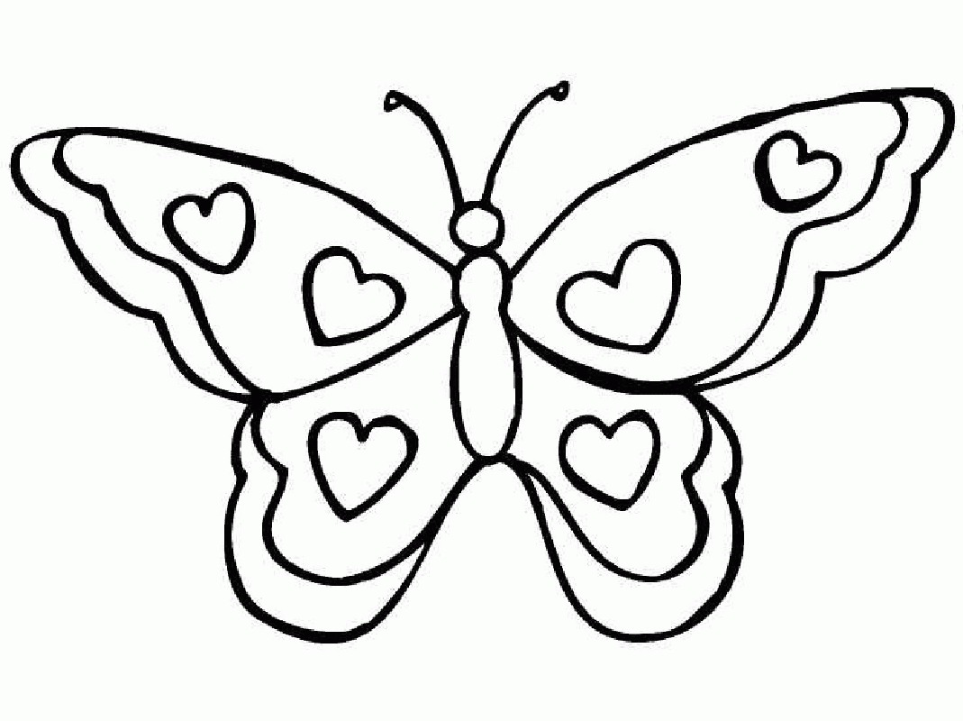 Impressive Butterfly Template Free 64 #347