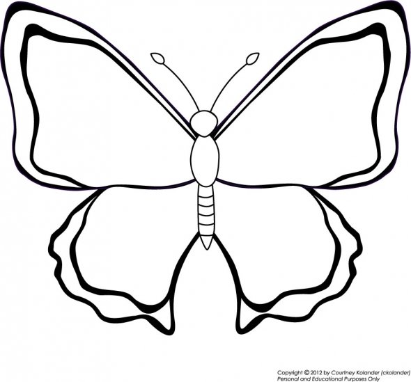 Butterfly Color Template - ClipArt Best