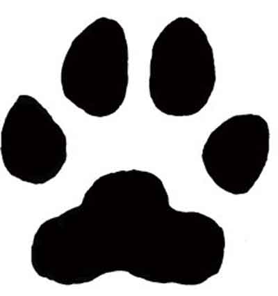 Lion Paw Print