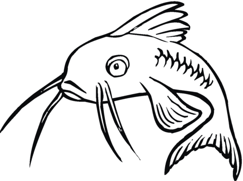 Catfish 1 coloring page - Free Printable Coloring Pages