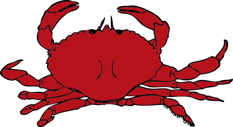 Seafood Clipart Free - Free Clipart Images