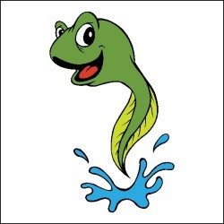 tadpole clipart | Hostted
