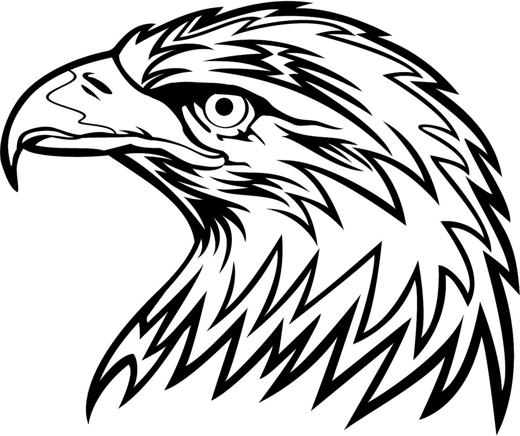 Baby eagle head clipart black and white