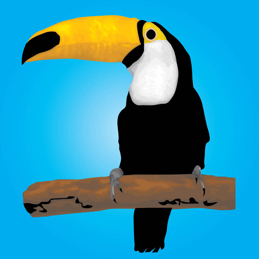 Toucan Clipart