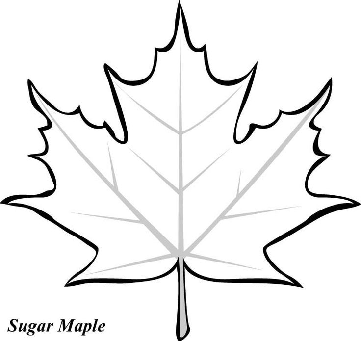 Maple Leaf Pattern Printable ClipArt Best