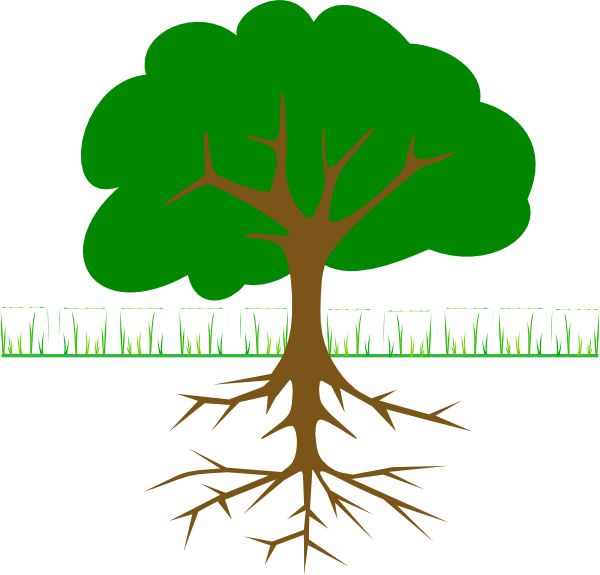 Tree with roots branches clipart