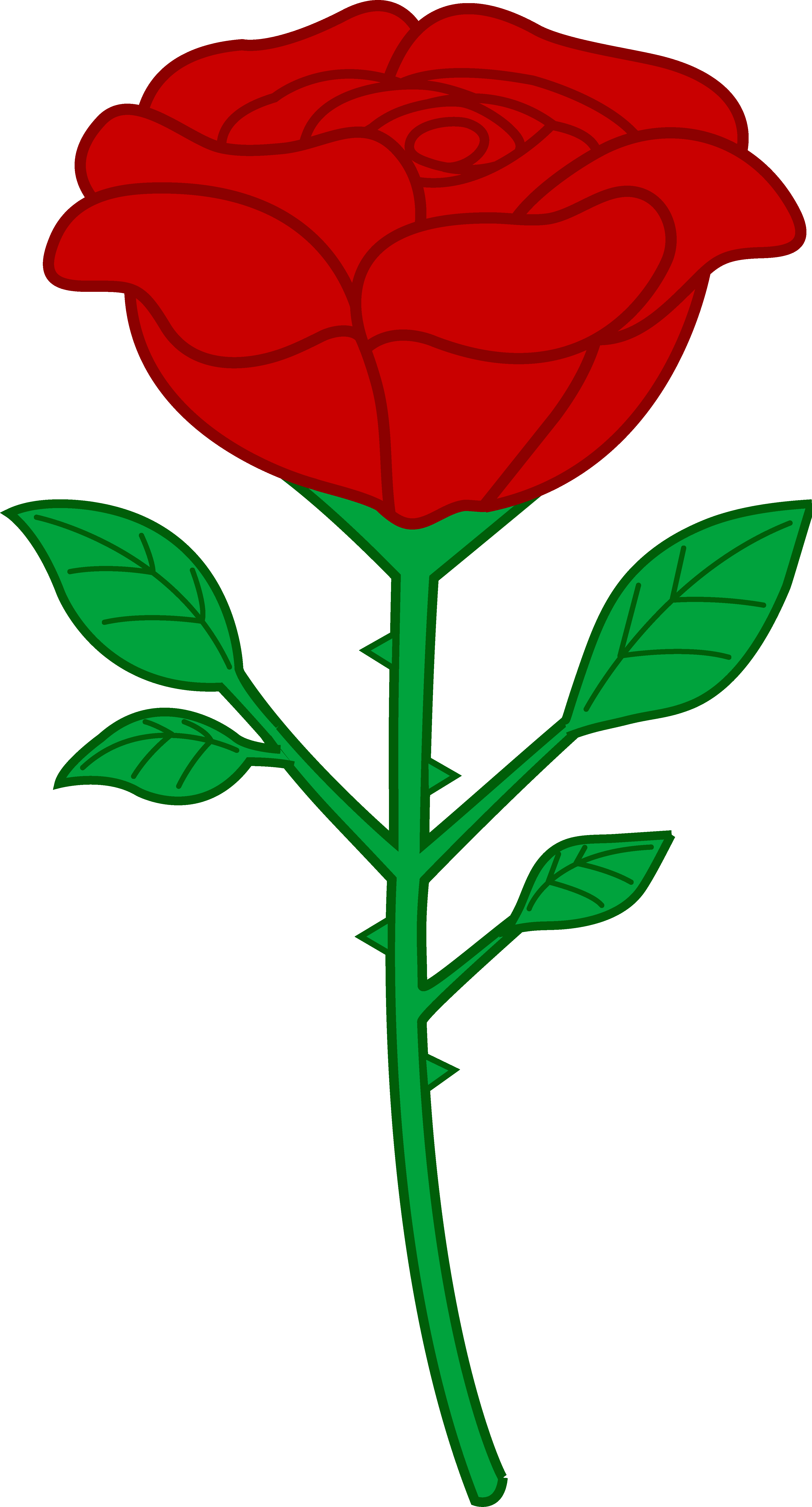 Rosa clipart