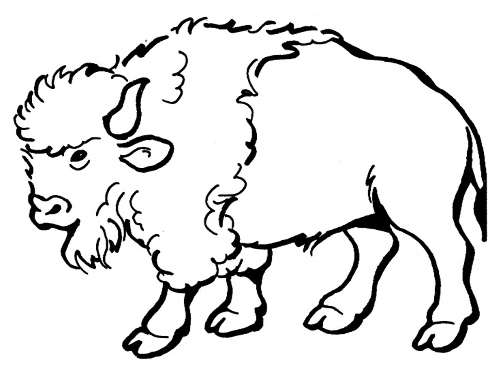 Cartoon Bison - ClipArt Best