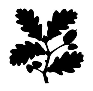 Oak Leaf Designs - ClipArt Best