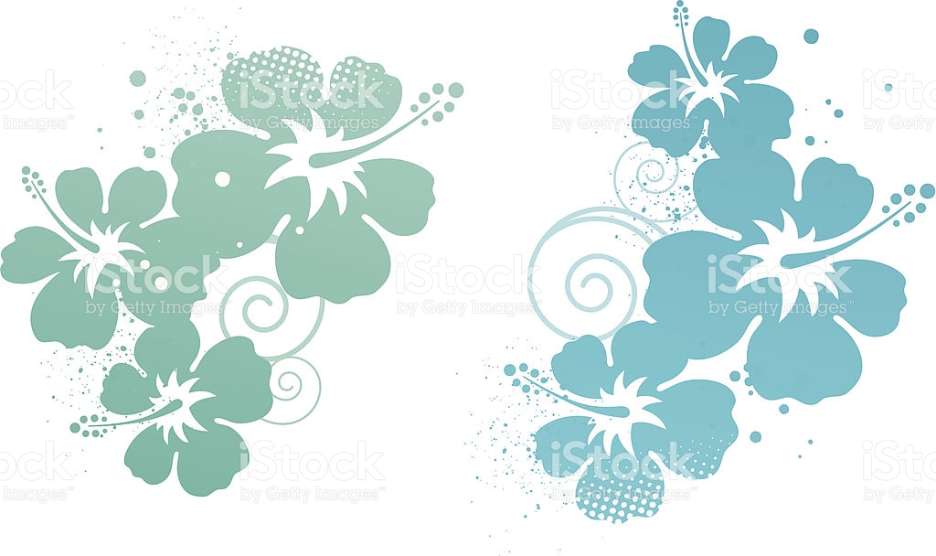 Hibiscus Design Elements stock vector art 165557374 | iStock