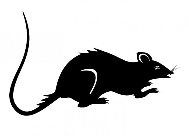Rat silhouette black mouse vector Vector | Free Download