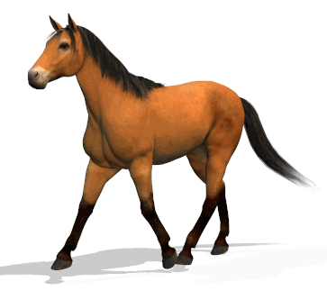 Pictures Of Animated Horses | Free Download Clip Art | Free Clip ...