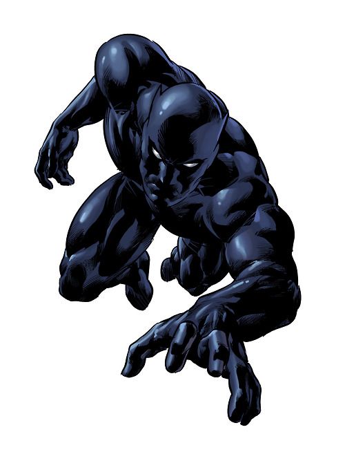 1000+ images about T'Challa- Black Panther and Storm ...