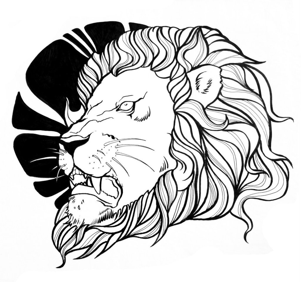 Lion Line Drawing