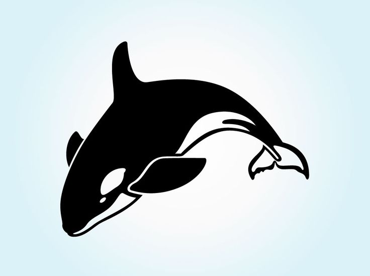 Killer whales, Clip art and Silhouette