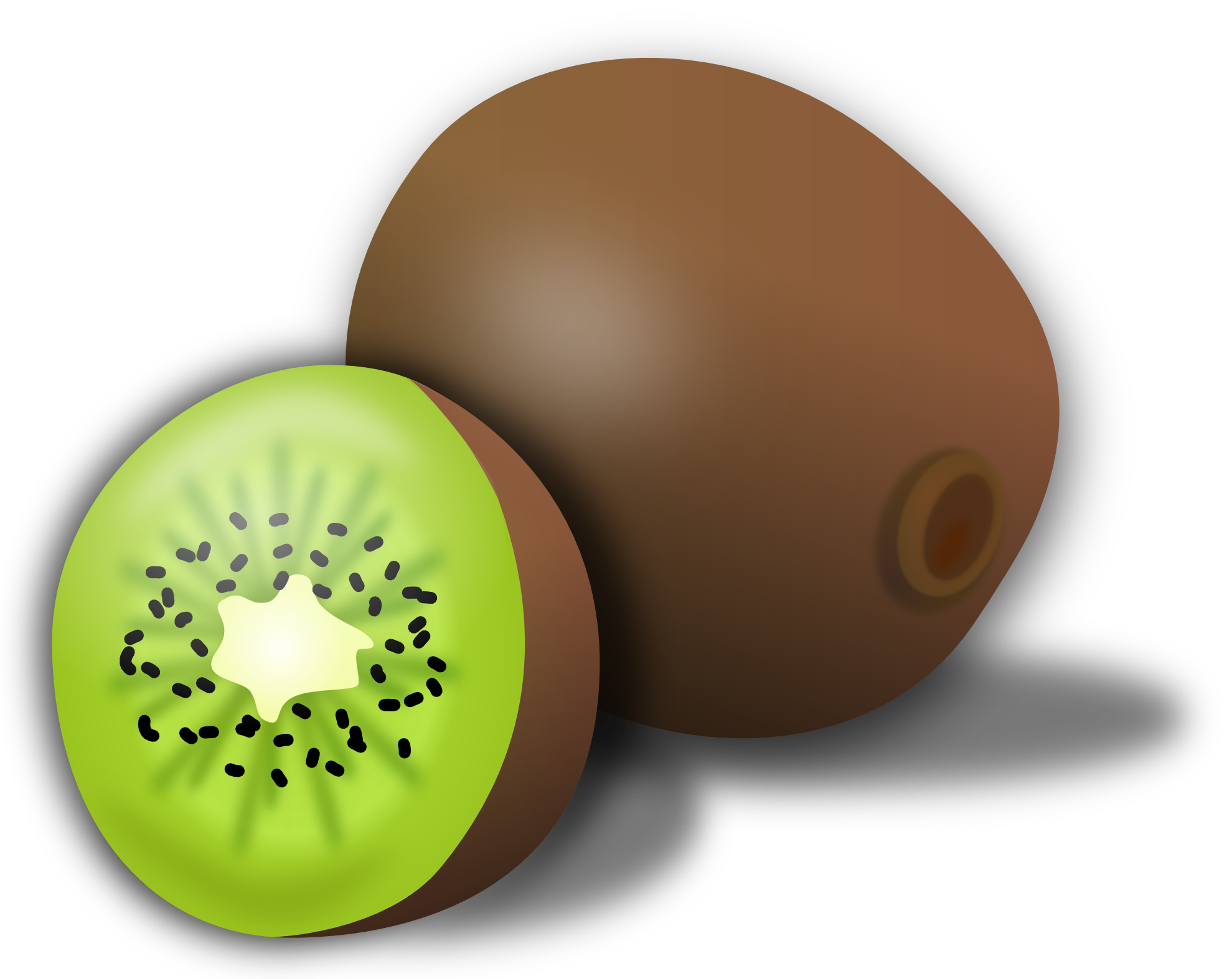 Kiwi Clipart - ClipArt Best