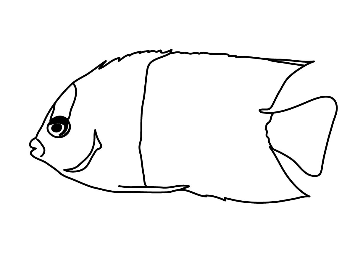 Angel fish clipart black and white