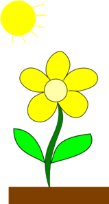 flower-in-sun-md.png