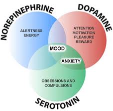 Neurotransmitters-Venn-Diagram ...