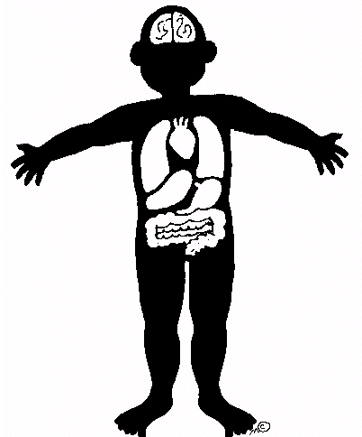 Clip Art Human Body