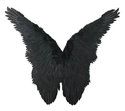 Amazon.com: FashionWings (TM) Black Butterfly Style Costume ...