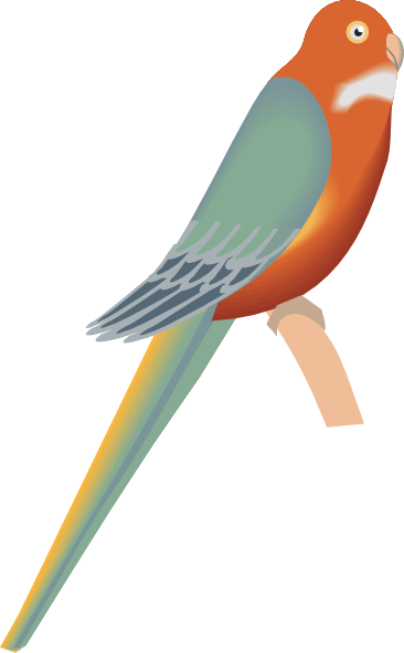 Parakeet Clip Art - vector clip art online, royalty ...