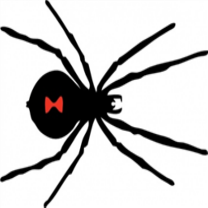 Black widow spider clipart