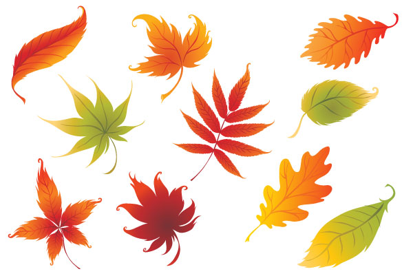 Autumn Leaves Graphics - ClipArt Best