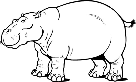 Hippo Picture | Free Download Clip Art | Free Clip Art | on ...