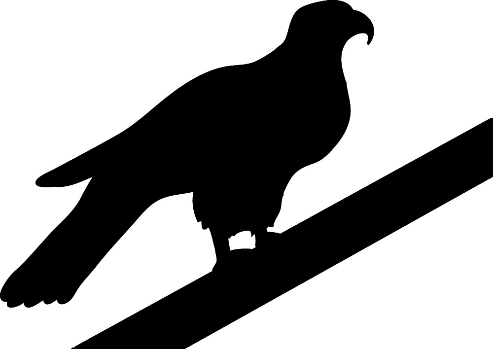 Funny Bird Silhouette