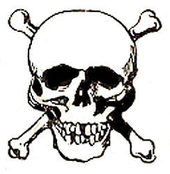 Skull Clip Art Background - Free Clipart Images