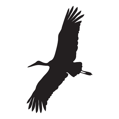 White Stork Clip Art, Vector Images & Illustrations