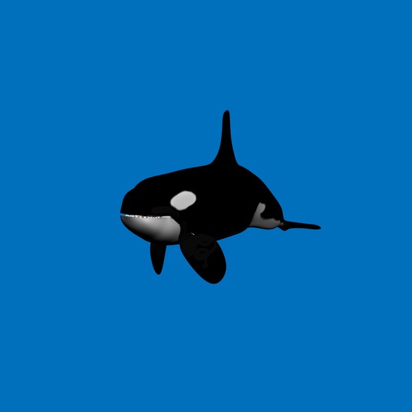 3d 3ds killer whale