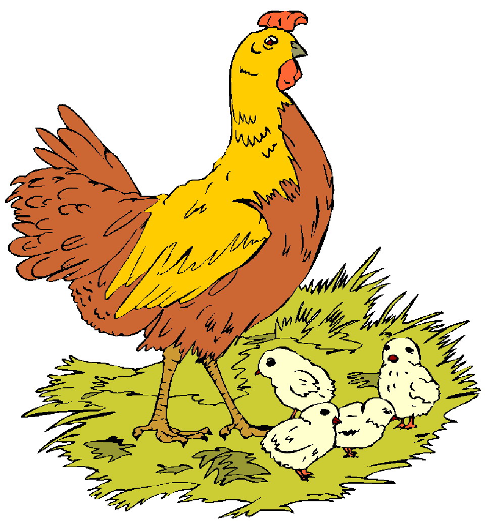 Chicken Caricature - ClipArt Best