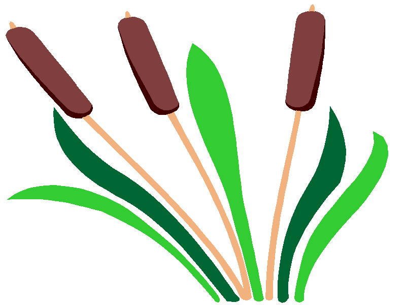 Cattails Clipart