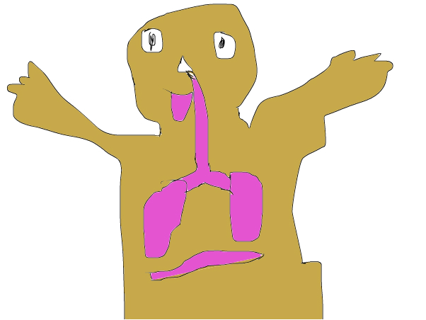 Respiratory System - Slimber.com: Drawing and Painting Online