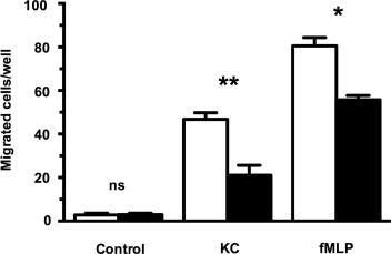 Effects of acute and chronic low density lipoprotein exposure on ...