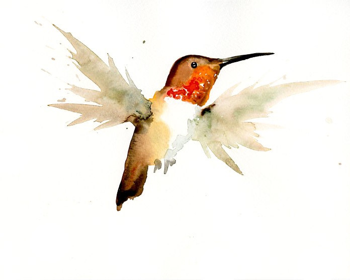 1000+ images about I like birds. | Hummingbirds, Ink ...