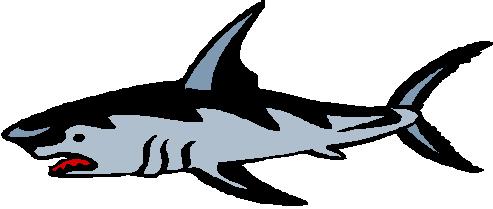 Sharks Clip Art