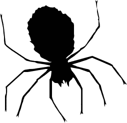 Animated spider clipart