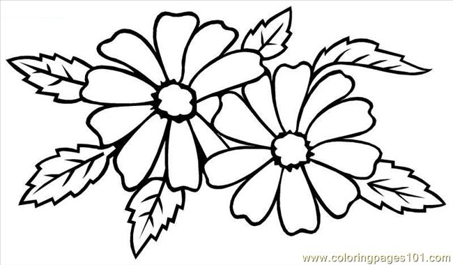 Types Of Wedding Flowers Coloring Page - Free Flowers Coloring ...