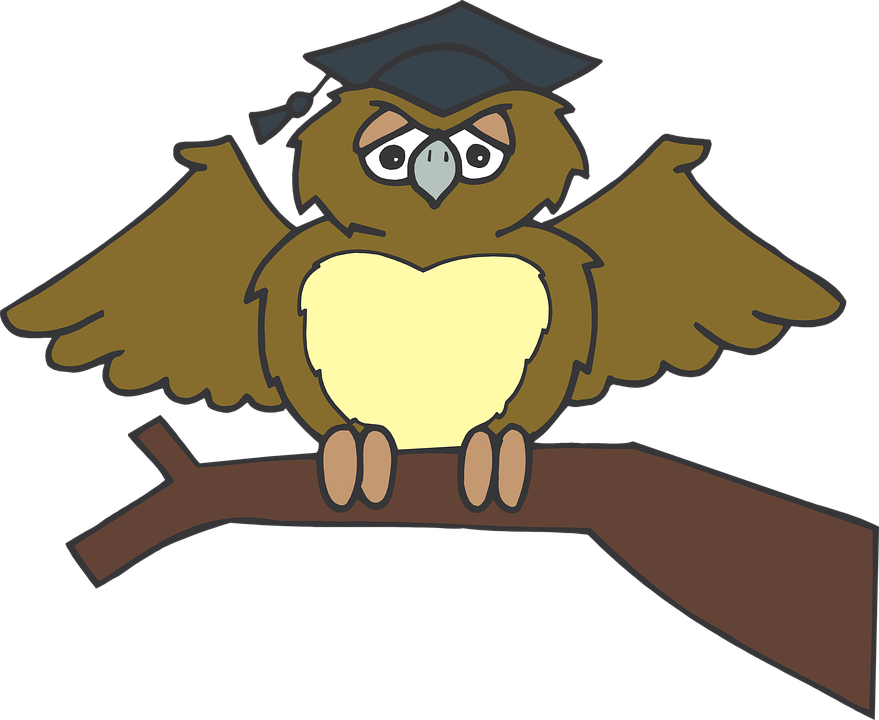 Graduation owl on tree branch clipart