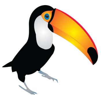 Toucan Vector - ClipArt Best