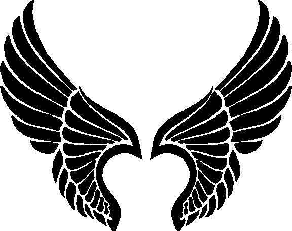 Wings, Website and Drawings