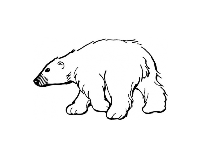 Cute Polar Bear Cartoon | Free Download Clip Art | Free Clip Art ...