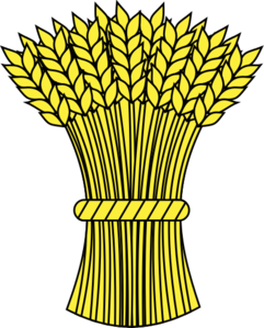 wheat-clipart-lg-Bundle-of-wheat-spikes.png