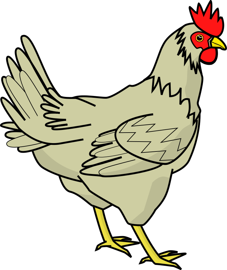 Chicken Vector | Free Download Clip Art | Free Clip Art | on ...