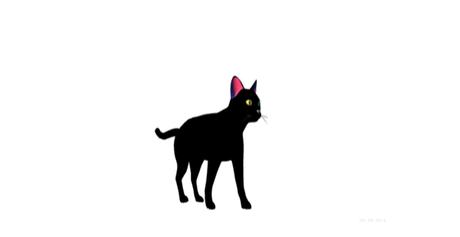 Animated Black Cat