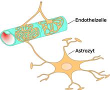 Neurotoxina