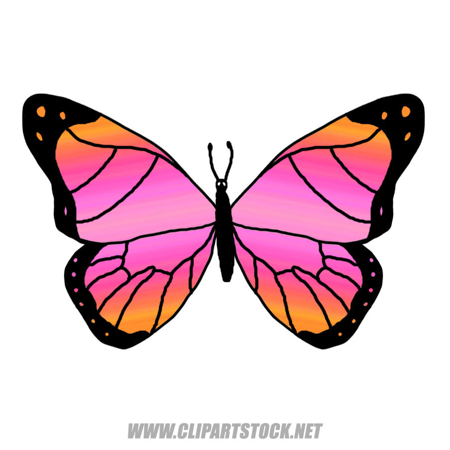 Butterfly Cartoon | Free Download Clip Art | Free Clip Art | on ...